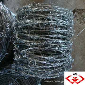 hot dip/ Electro galvanized barbed wire (manufacturer)